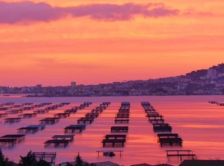 Bel Appartement Centre Ville Sète Exteriör bild